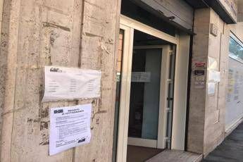 Per colpa del reddito grillino non trovo chi vuole lavorare Per colpa del reddito grillino non trovo chi vuole lavorare